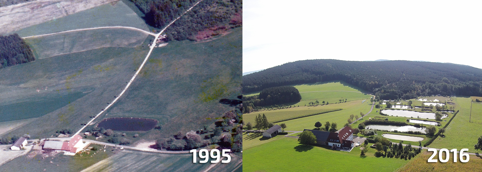 Vergleich Teichanlage 1995-2016