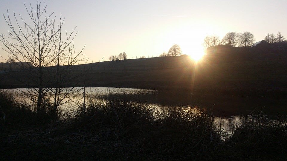 Sonnenuntergang am Angelteich