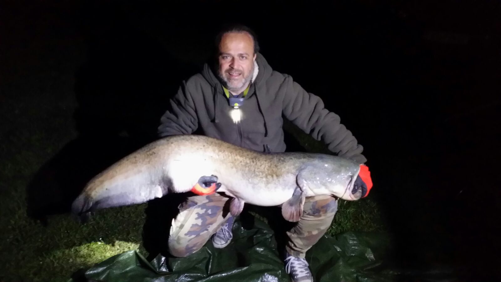 Welsfang bei Nacht am Catch & Release Teich