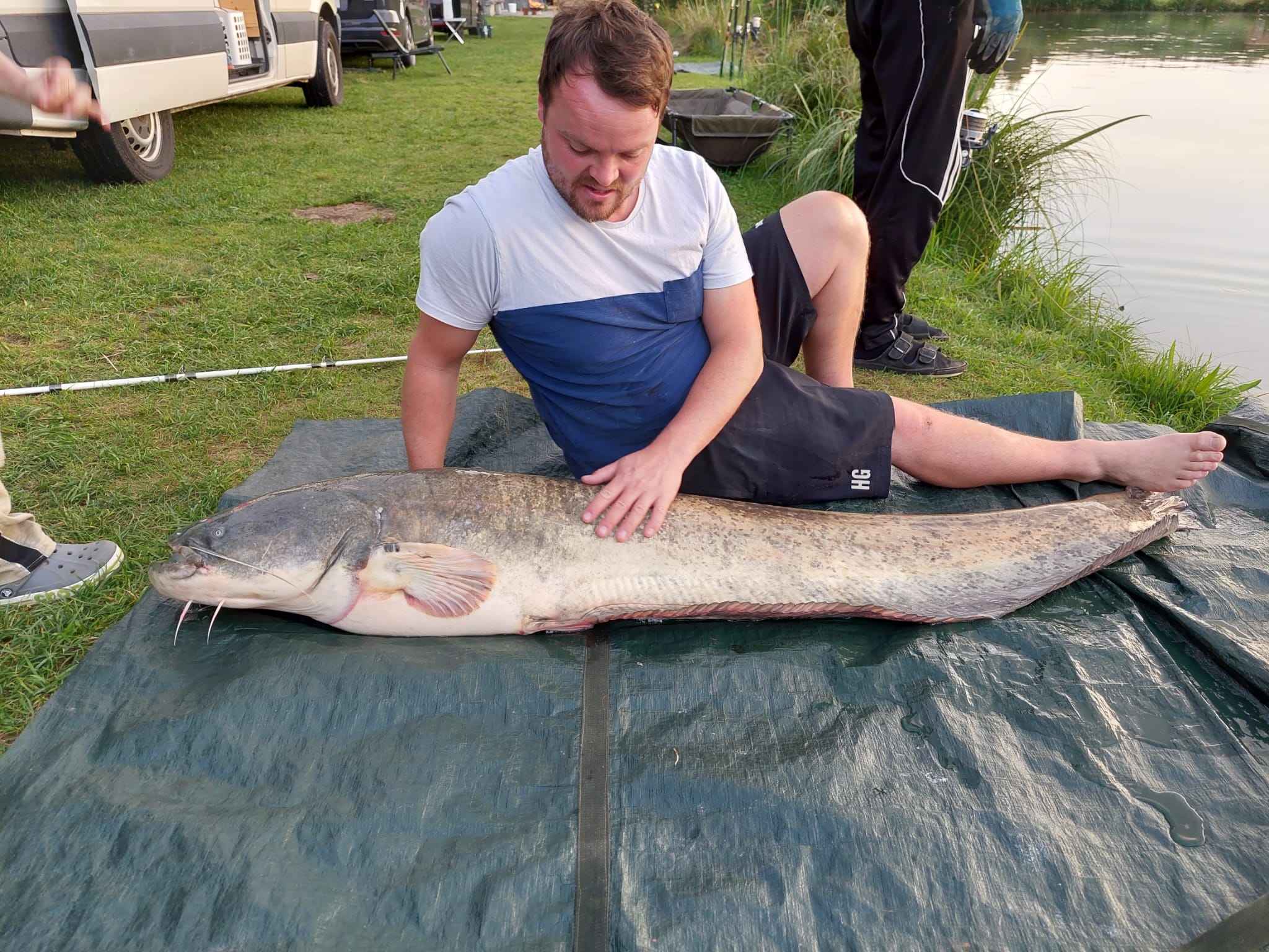 175cm wels Fischerei Eckerstorfer