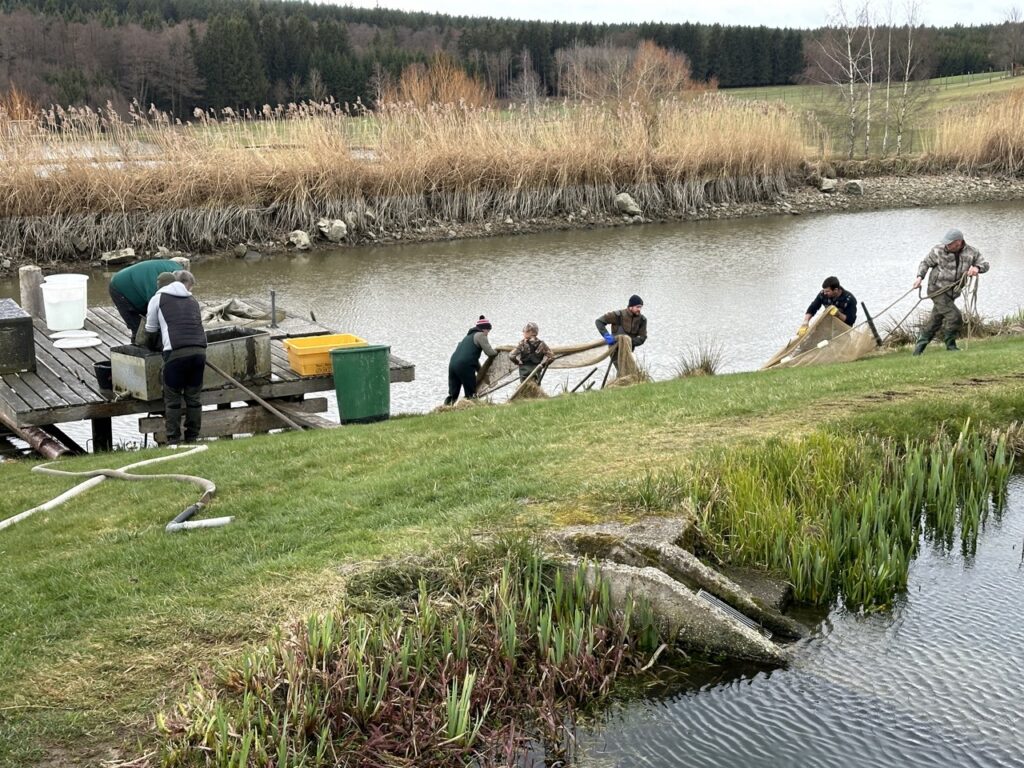 Netz aus dem Teich ziehen