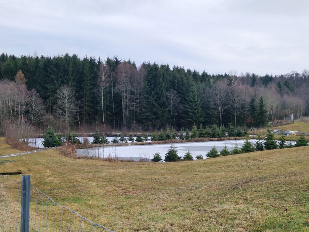 Weihnachtsbaum Verkauf